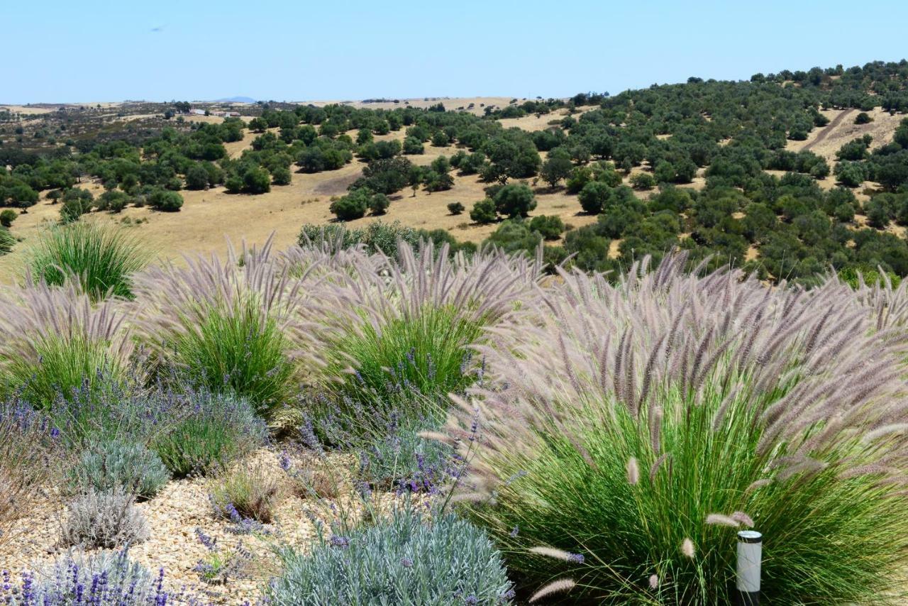 Vistas - Herdade Do Zambujal Castro Verde Luaran gambar